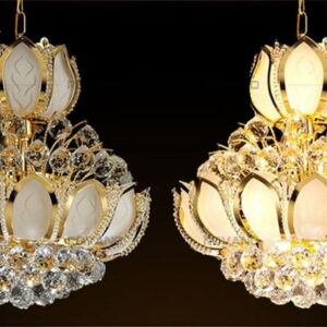 den chum phale rcp 9671 500 638. 1