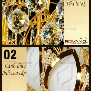 den chum phale rcp 9671 500 638. 2